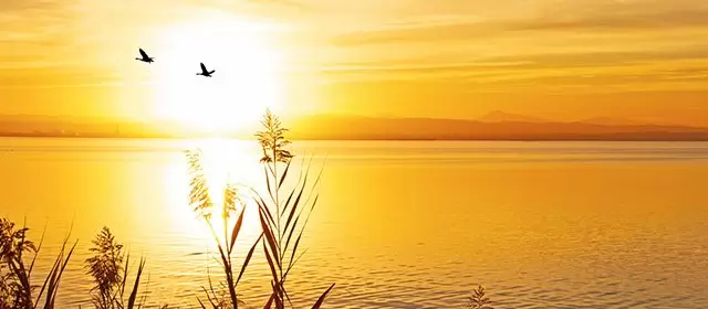 Horoscope for Friday 14 November 2025