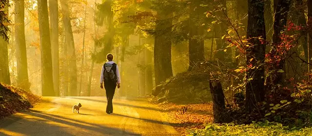 Horoscope for Monday 17 November 2025