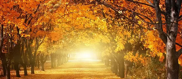 Horoscope for  Monday 24 November 2025