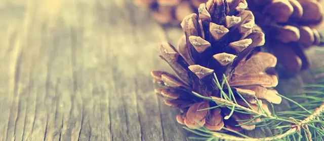 Horoscope for Sunday 7 December 2025