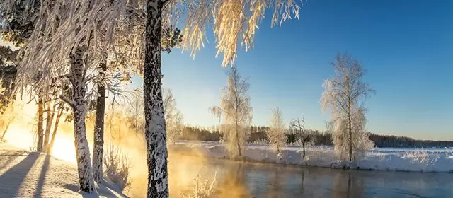 Horoscope for Saturday 20 December 2025