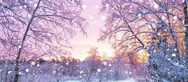 Horoscope for Monday 22 December 2025