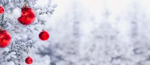 Horoscope for Tuesday 23 December 2025