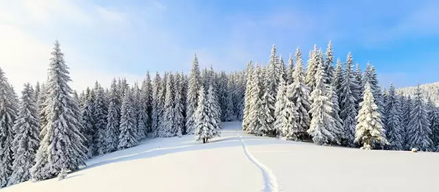 Horoscope for Tuesday 30 December 2025