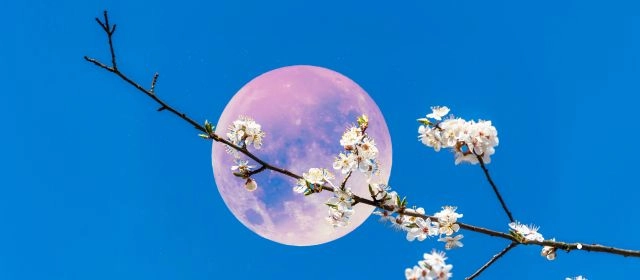 Explore the fascinating details of the 2026 full moon