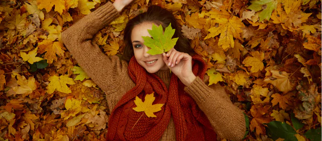 November 2026 Energies: tensions finally calm down