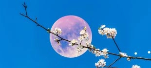 Full Moon Calendar 2026