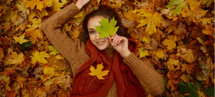 November 2026 Energies