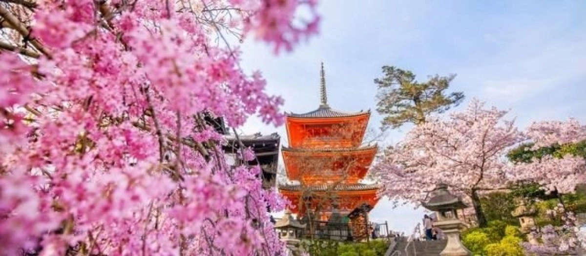  Free 2026 Chinese Horoscope Illustration 